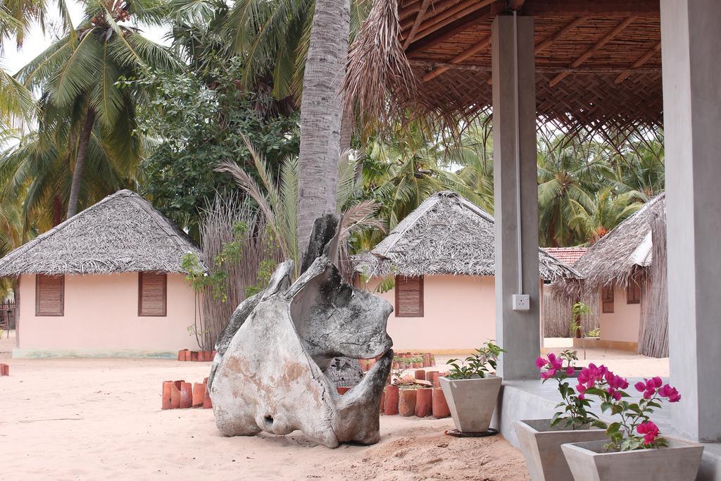 Cocodance Kitesurfing Resort Kalpitiya Esterno foto