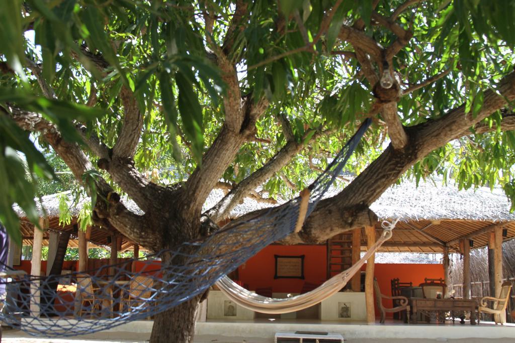 Cocodance Kitesurfing Resort Kalpitiya Esterno foto